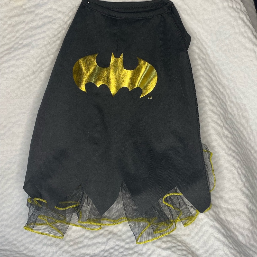 BatGirl dog costume